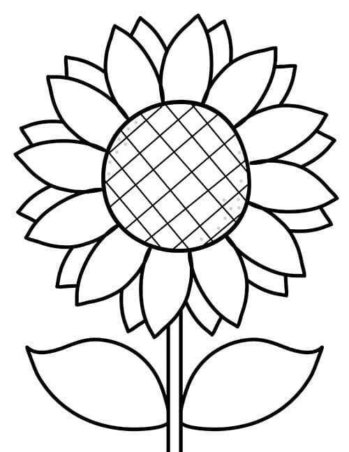 Desenho de Girassol Desenho Colorir Imprimir 19