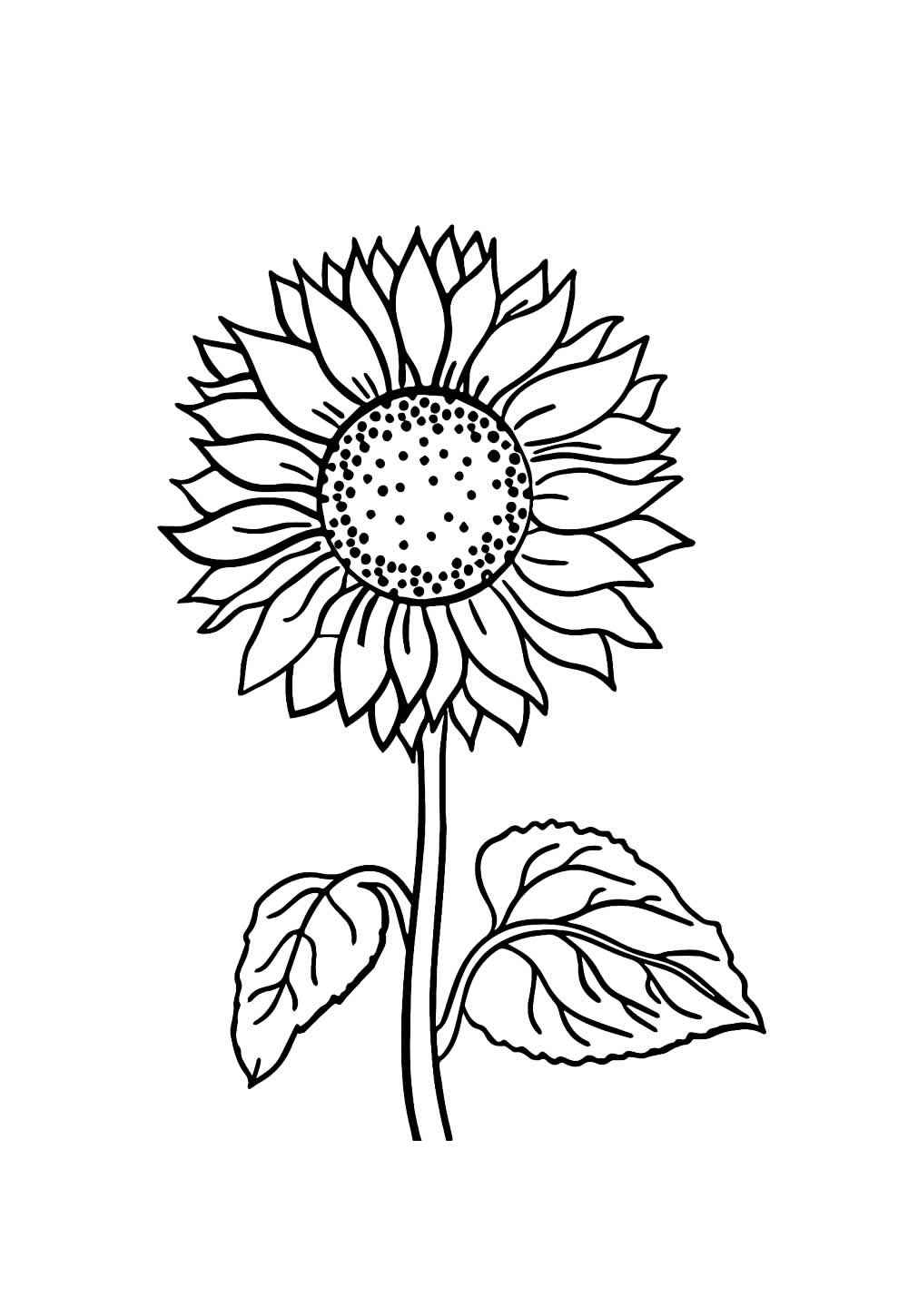 Desenho de Girassol Desenho Colorir Imprimir 22