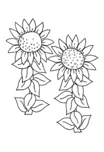 Desenho de Girassol Desenho Colorir Imprimir 23