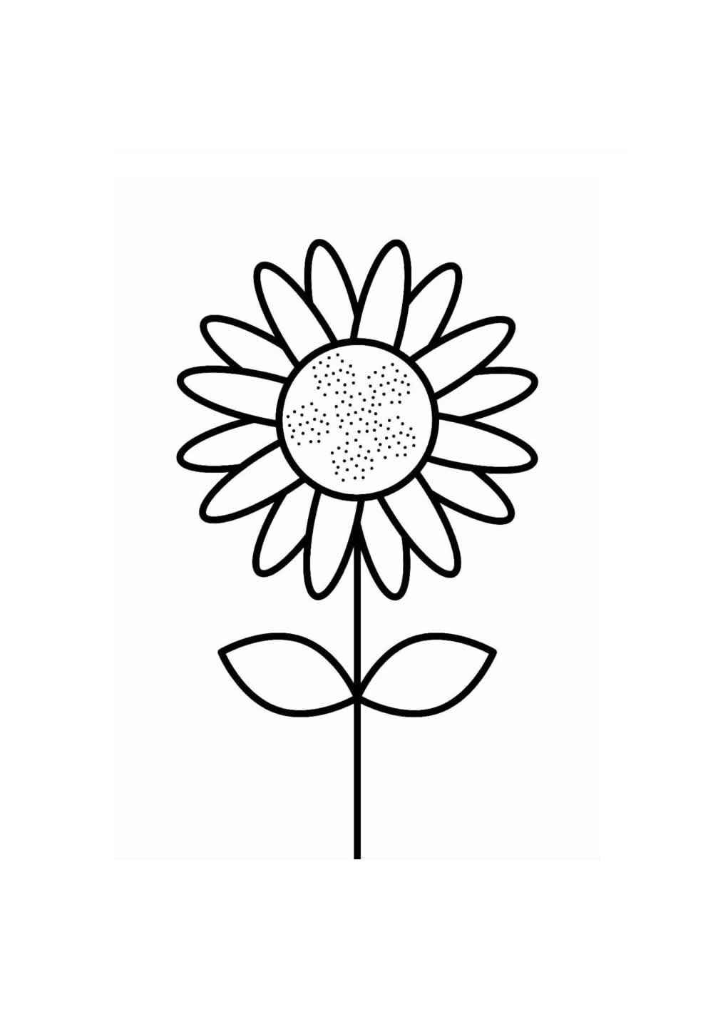 Desenho de Girassol Desenho Colorir Imprimir 24