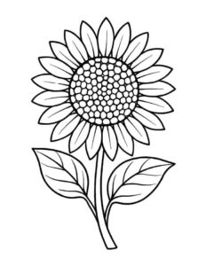 Desenho de Girassol Desenho Colorir Imprimir 34