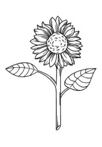 Desenho de Girassol Desenho Colorir Imprimir 37