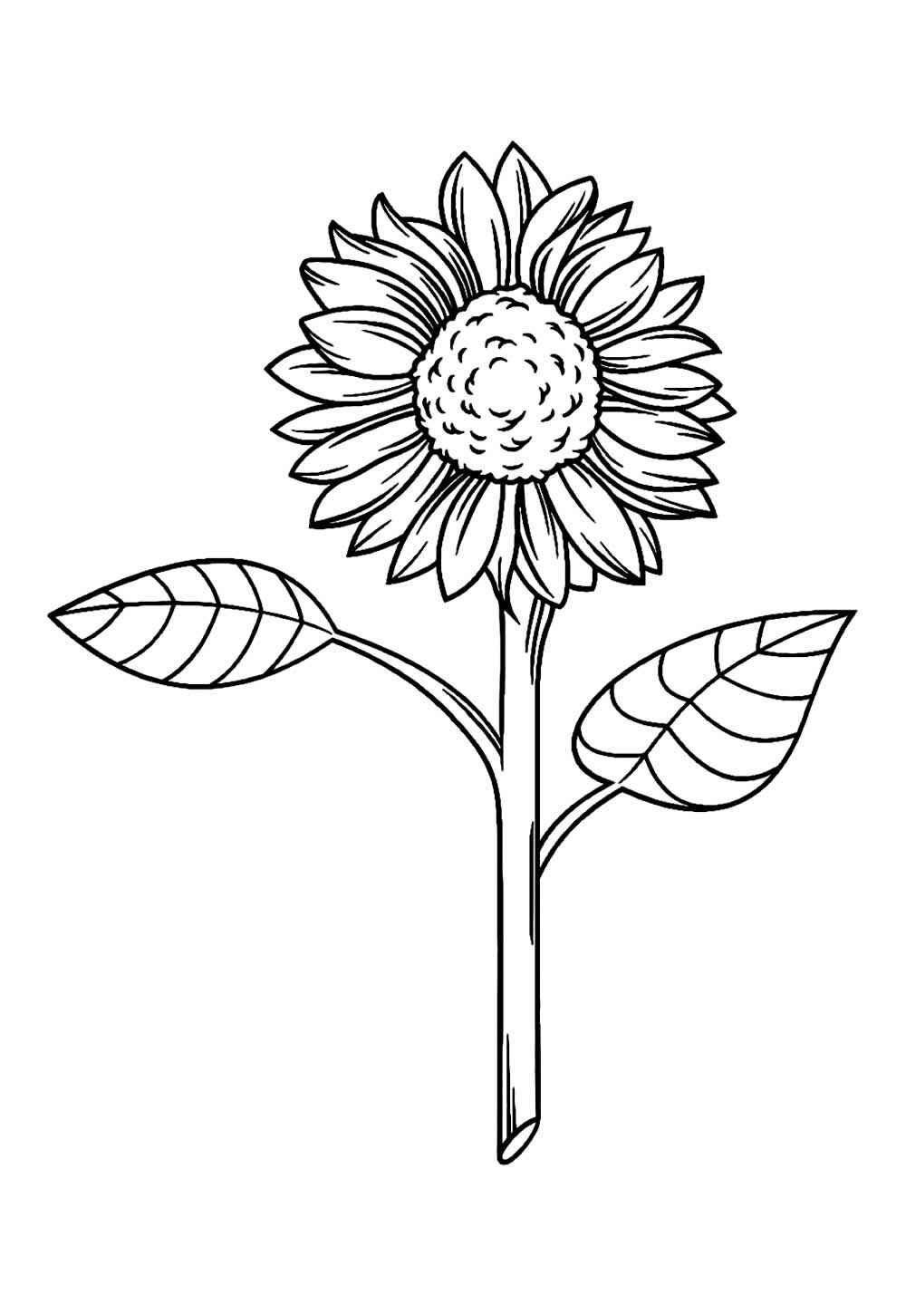 Desenho de Girassol Desenho Colorir Imprimir 37