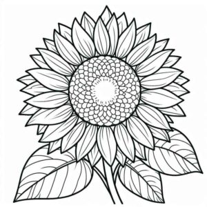 Desenho de Girassol Desenho Colorir Imprimir 41