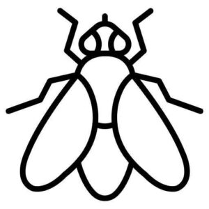 Desenho de Mosca Desenho Colorir Imprimir 03
