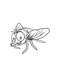 Desenho de Mosca Desenho Colorir Imprimir 05