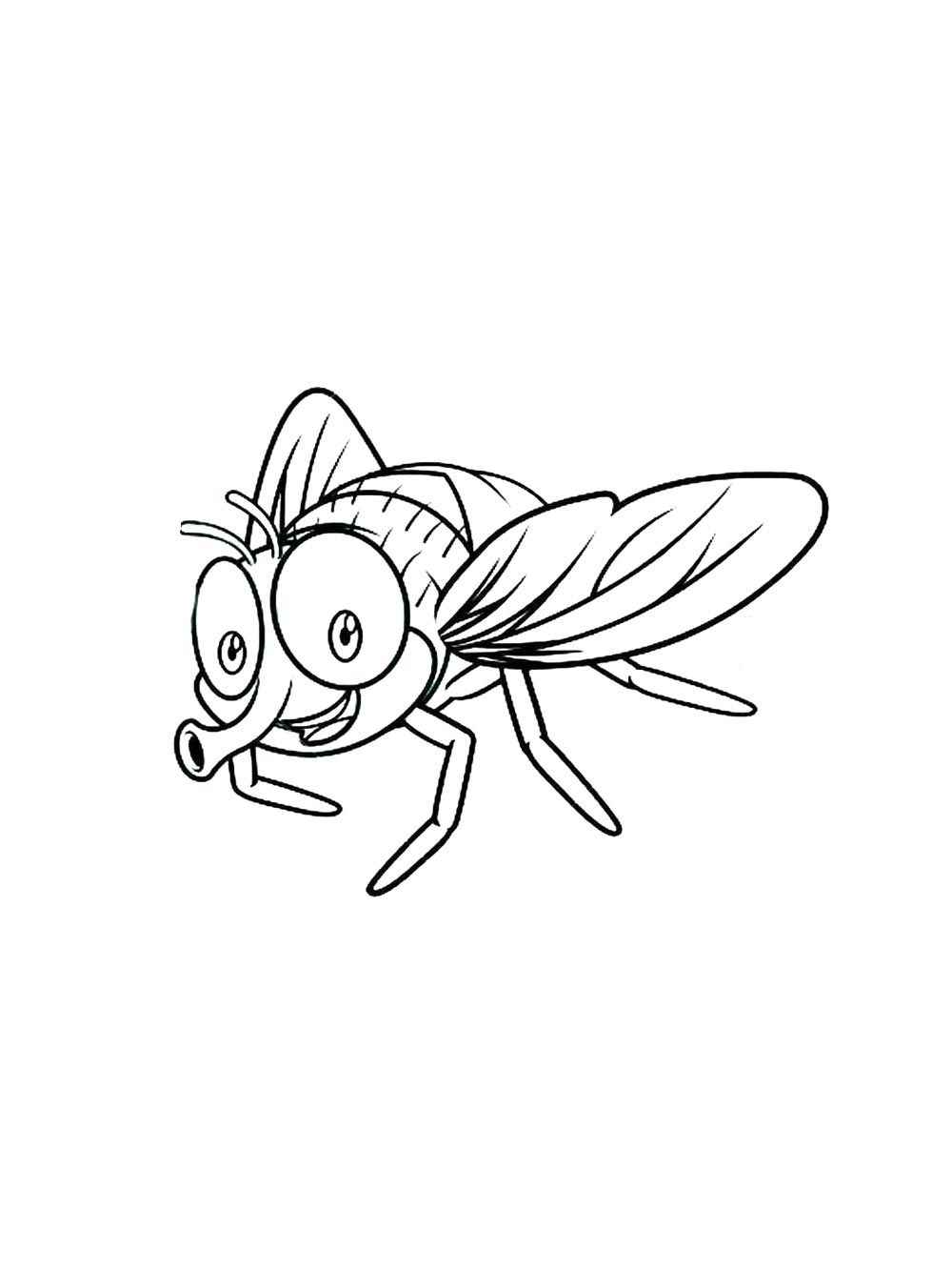 Desenho de Mosca Desenho Colorir Imprimir 05