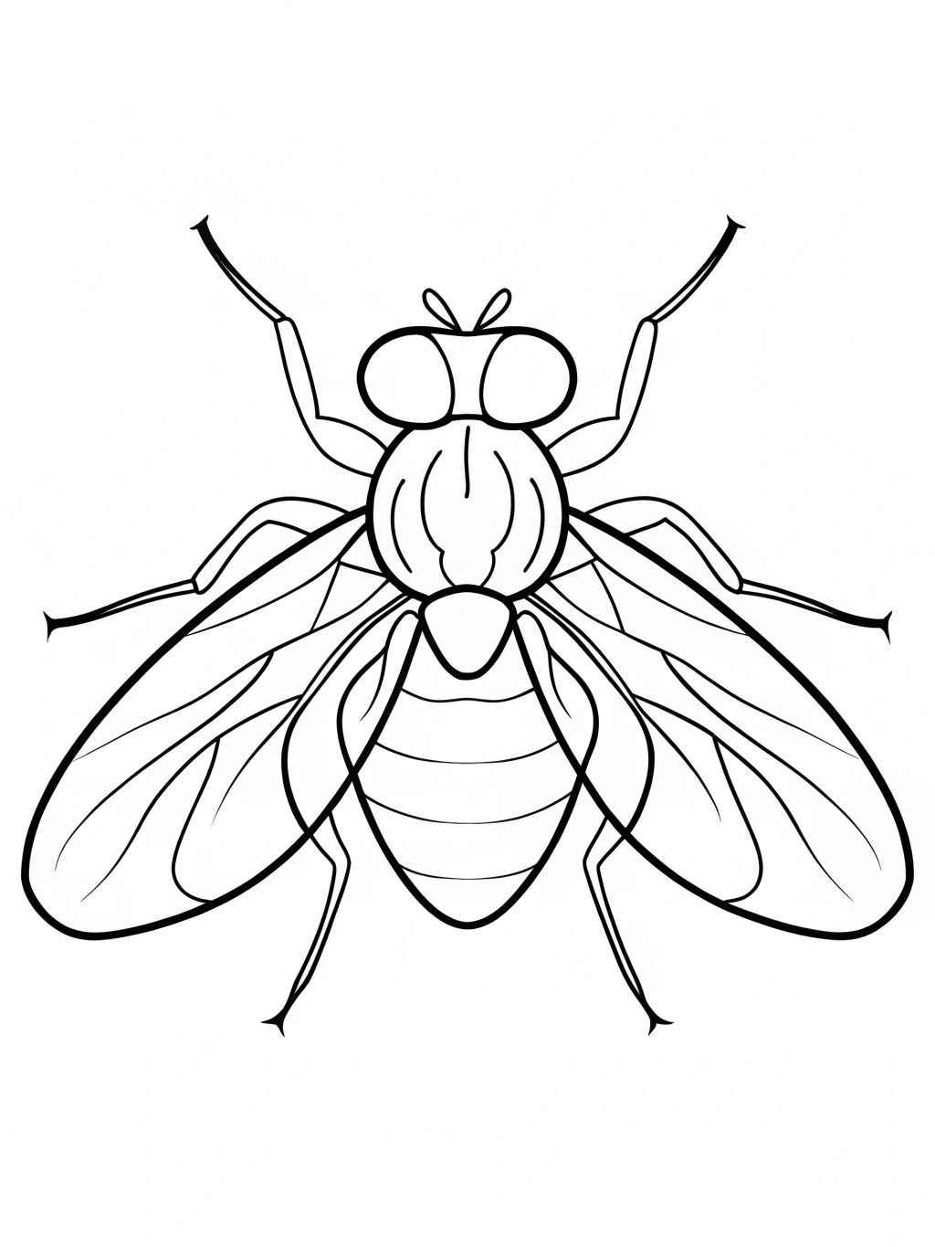 Desenho de Mosca Desenho Colorir Imprimir 10