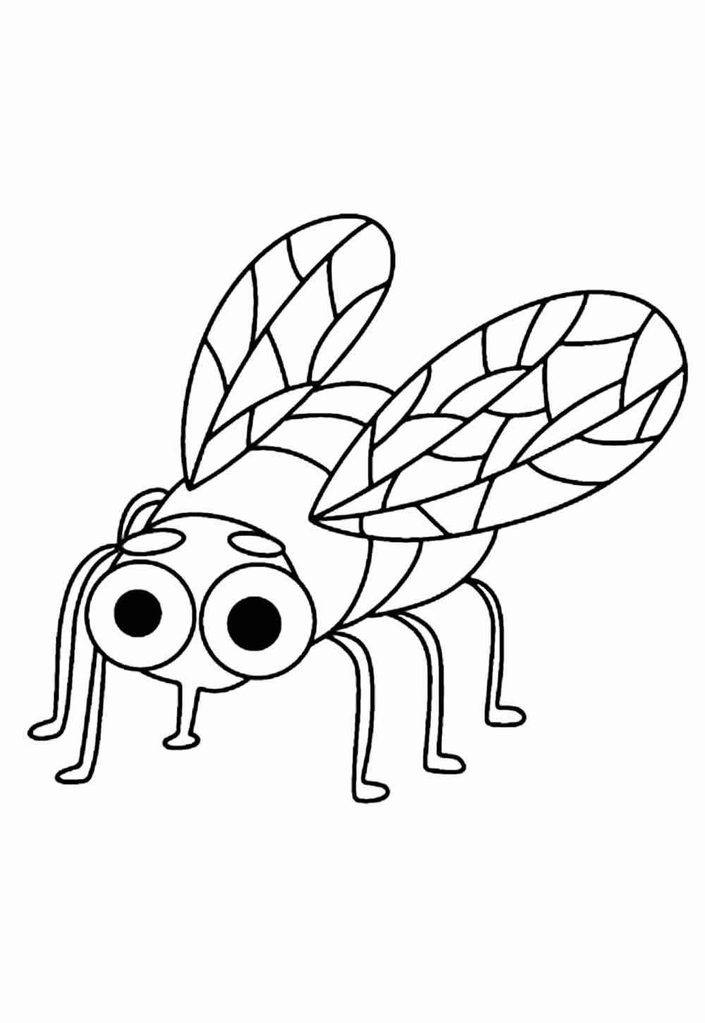 Desenho de Mosca Desenho Colorir Imprimir 11