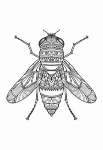 Desenho de Mosca Desenho Colorir Imprimir 15