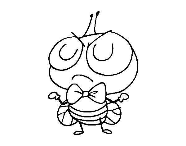 Desenho de Mosca Desenho Colorir Imprimir 17