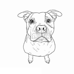 Desenho de Pitbull Desenho Colorir Imprimir 08