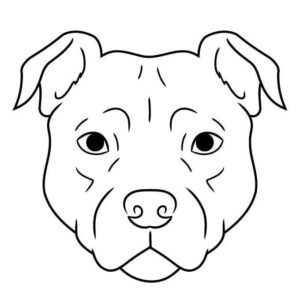 Desenho de Pitbull Desenho Colorir Imprimir 11