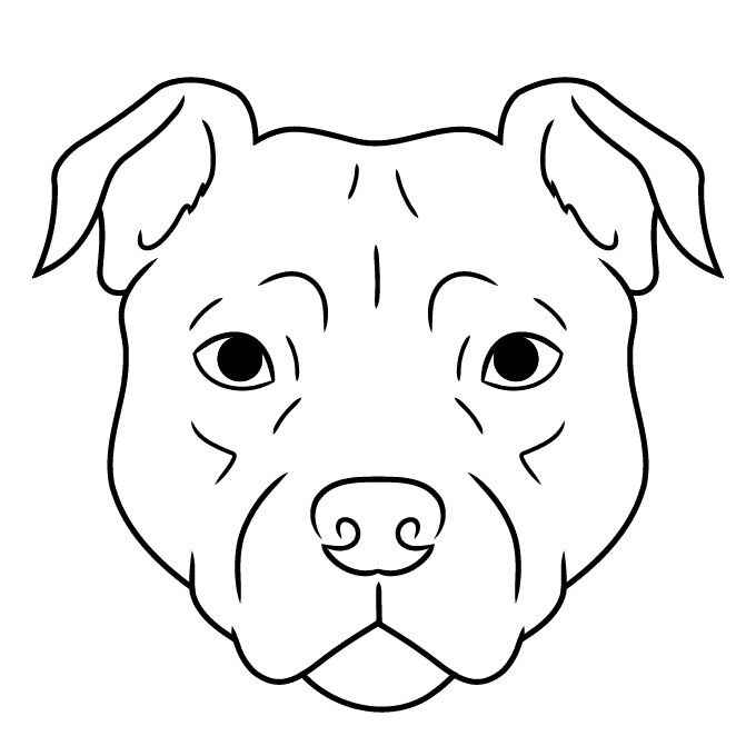 Desenho de Pitbull Desenho Colorir Imprimir 11