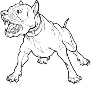 Desenho de Pitbull Desenho Colorir Imprimir 17
