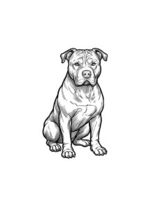 Desenho de Pitbull Desenho Colorir Imprimir 20