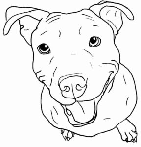 Desenho de Pitbull Desenho Colorir Imprimir 28