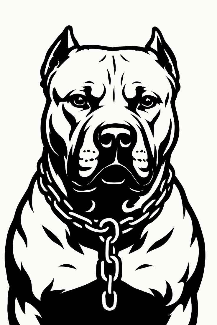 Desenho de Pitbull Desenho Colorir Imprimir 36