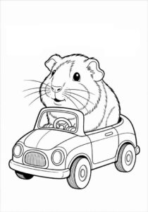 Desenho de Porquinho Da India Desenho Colorir Imprimir 07