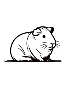 Desenho de Porquinho Da India Desenho Colorir Imprimir 08