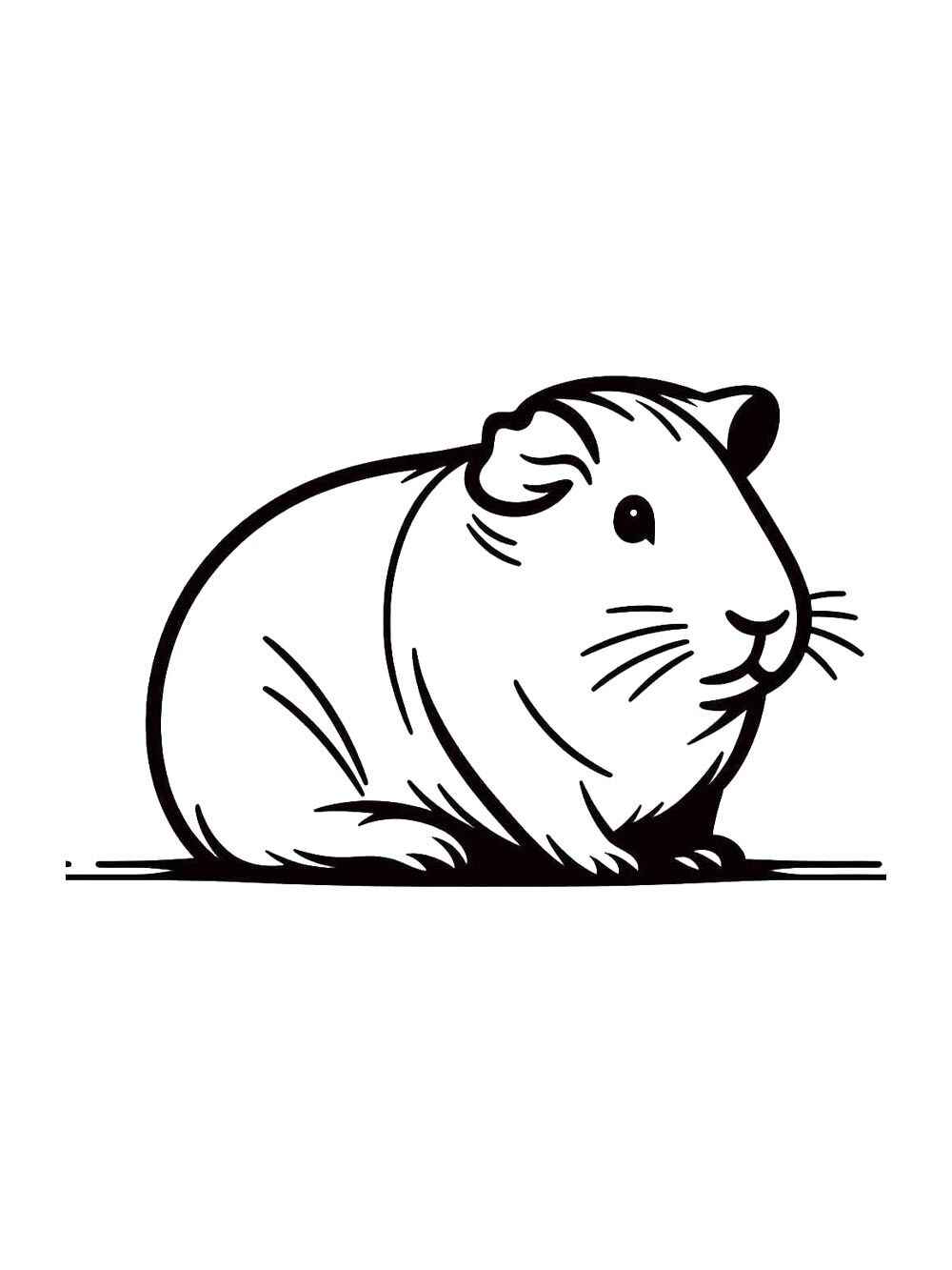 Desenho de Porquinho Da India Desenho Colorir Imprimir 08