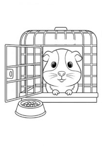 Desenho de Porquinho Da India Desenho Colorir Imprimir 10