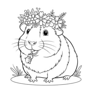 Desenho de Porquinho Da India Desenho Colorir Imprimir 15