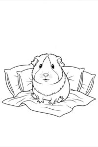 Desenho de Porquinho Da India Desenho Colorir Imprimir 19