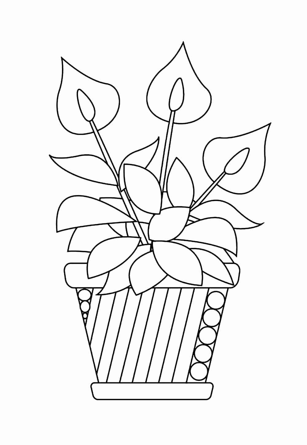 Desenho de Vaso De Flores Desenho Colorir Imprimir 30