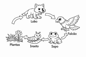 Desenho de Cadeia Alimentar Desenho Colorir Imprimir 01