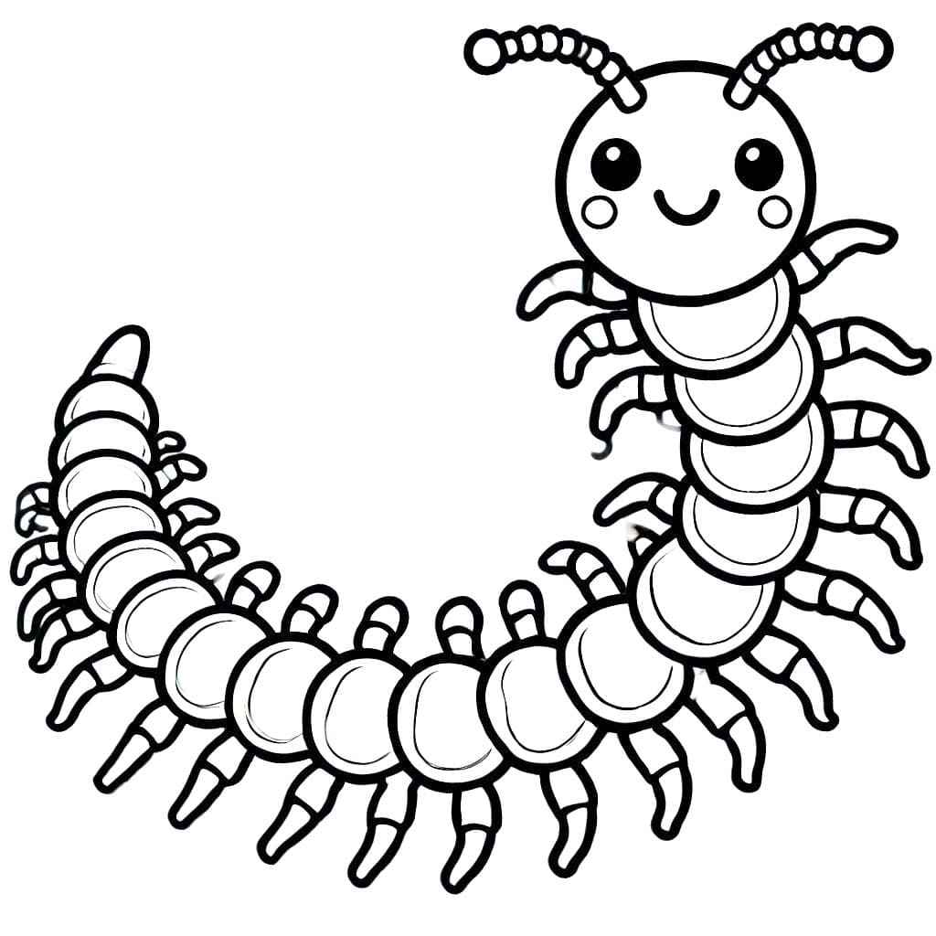 Desenho de Centopeia Desenho Colorir Imprimir 05