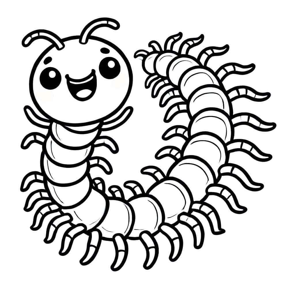 Desenho de Centopeia Desenho Colorir Imprimir 07
