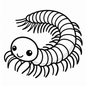 Desenho de Centopeia Desenho Colorir Imprimir 15