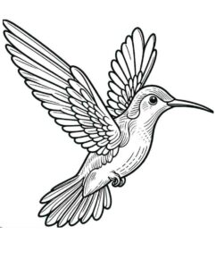 Desenho de Beija Flor Desenho Colorir Imprimir 06