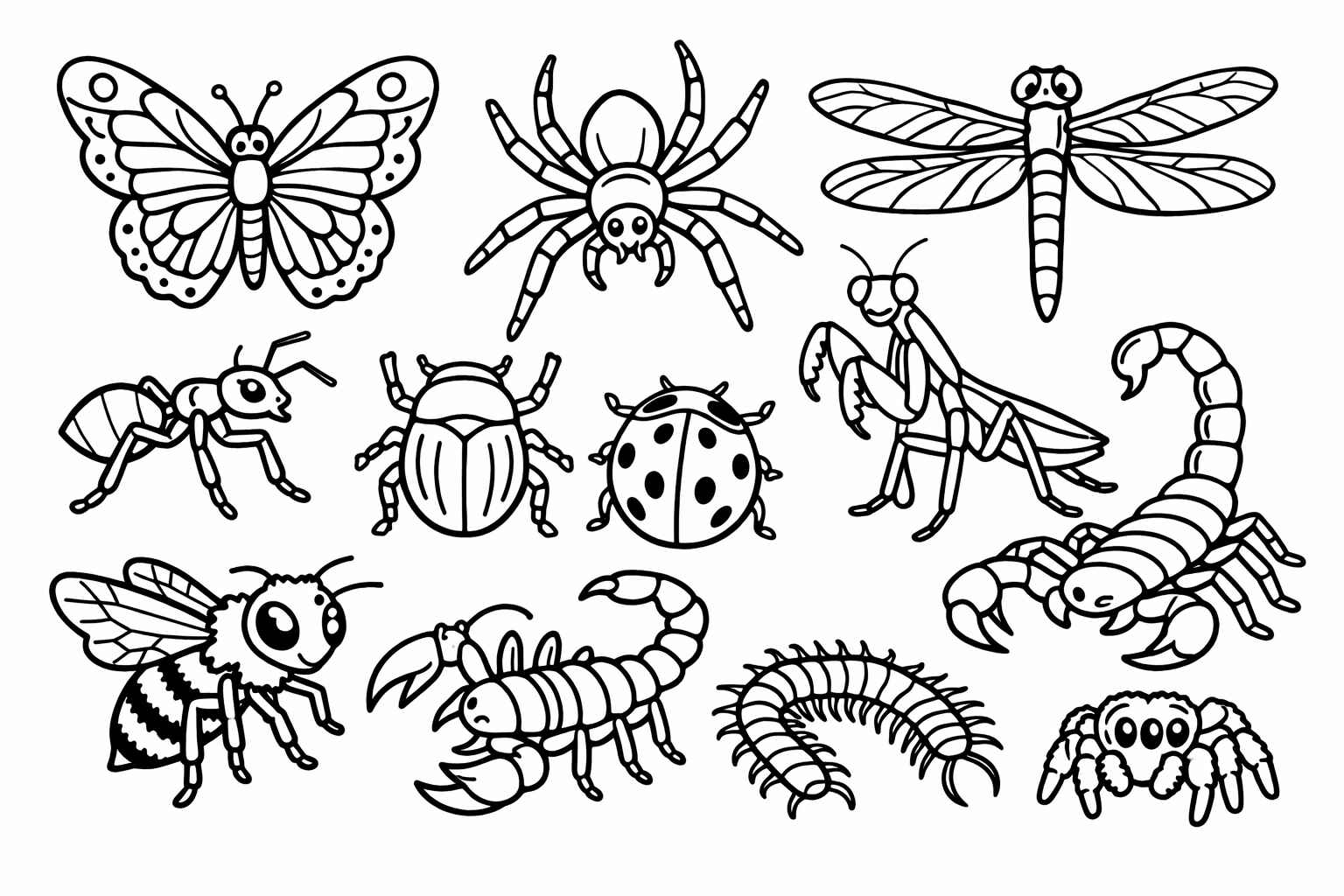 Desenho de Animais Desenho Colorir Imprimir 12