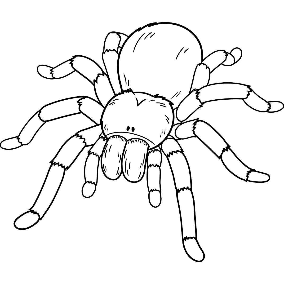 Desenho de Aranha Desenho Colorir Imprimir 07