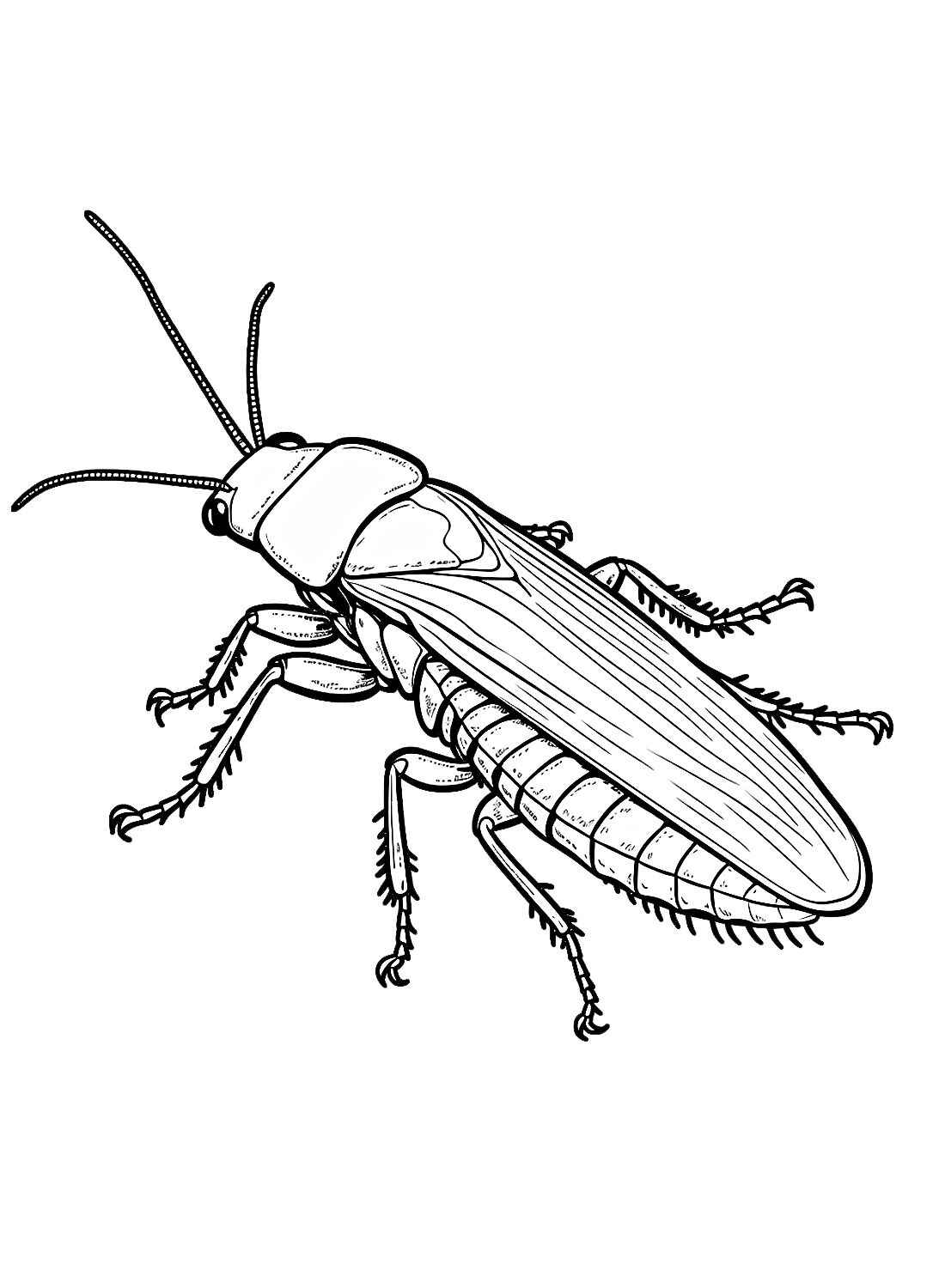 Desenho de Barata Desenho Colorir Imprimir 06