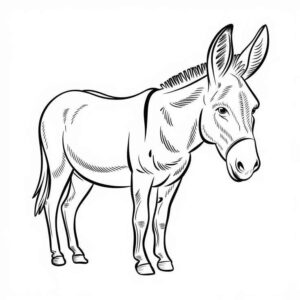 Desenho de Burro Desenho Colorir Imprimir 08