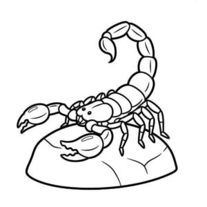 Desenho de Escorpiao Desenho Colorir Imprimir 03