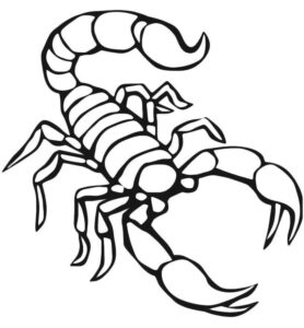 Desenho de Escorpiao Desenho Colorir Imprimir 08