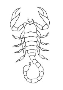 Desenho de Escorpiao Desenho Colorir Imprimir 14