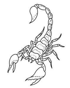 Desenho de Escorpiao Desenho Colorir Imprimir 17