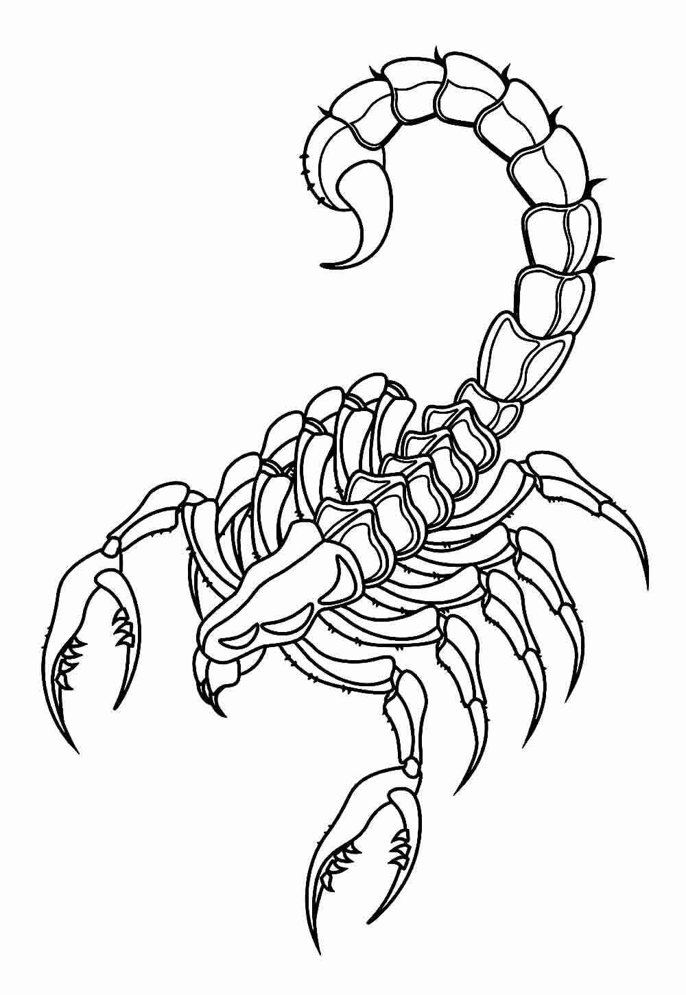 Desenho de Escorpiao Desenho Colorir Imprimir 20