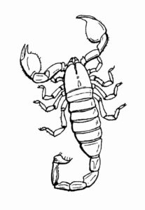 Desenho de Escorpiao Desenho Colorir Imprimir 22