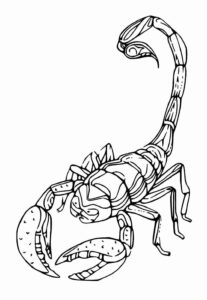 Desenho de Escorpiao Desenho Colorir Imprimir 24
