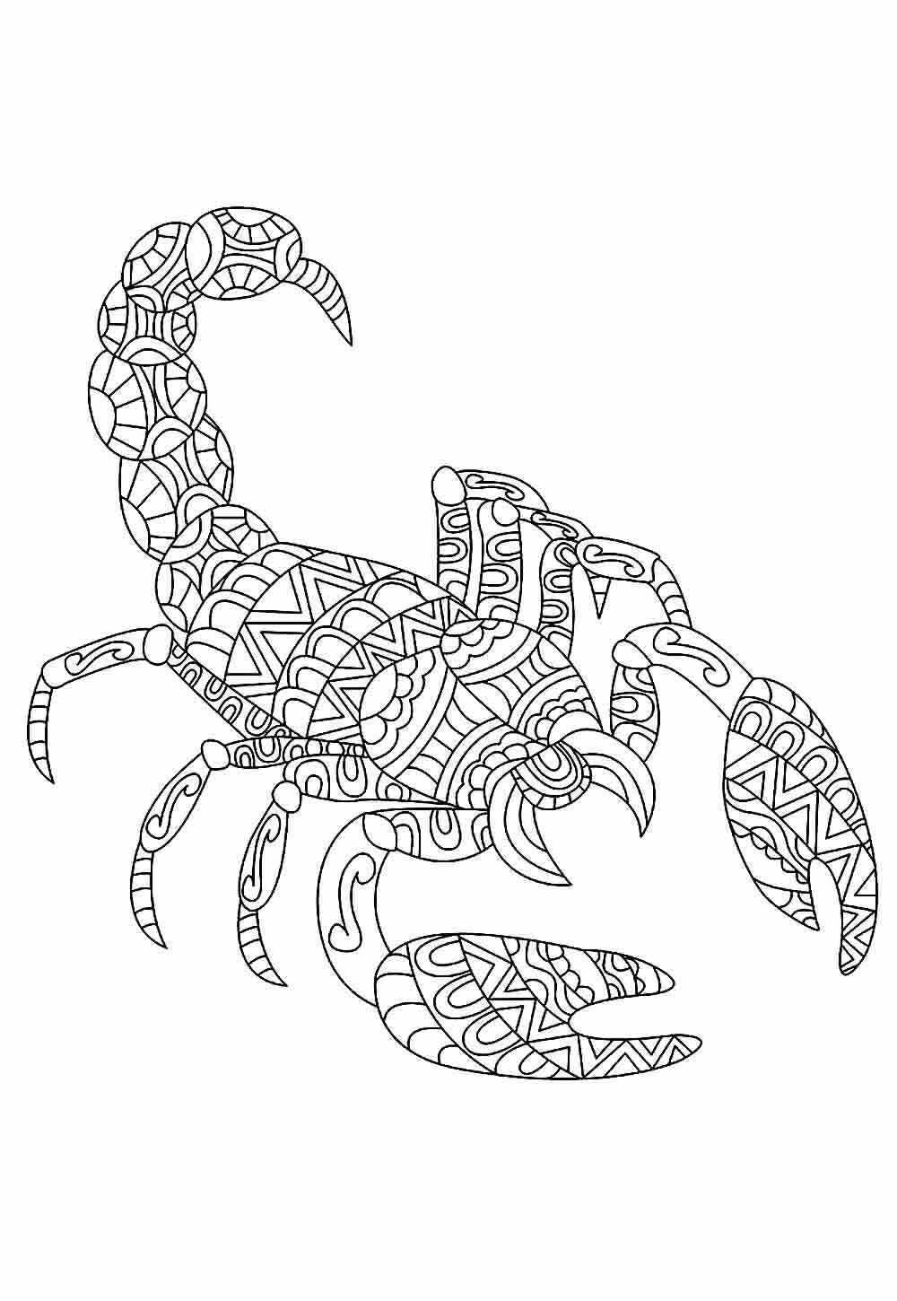 Desenho de Escorpiao Desenho Colorir Imprimir 25