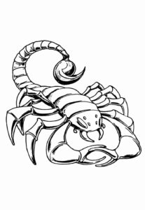 Desenho de Escorpiao Desenho Colorir Imprimir 26