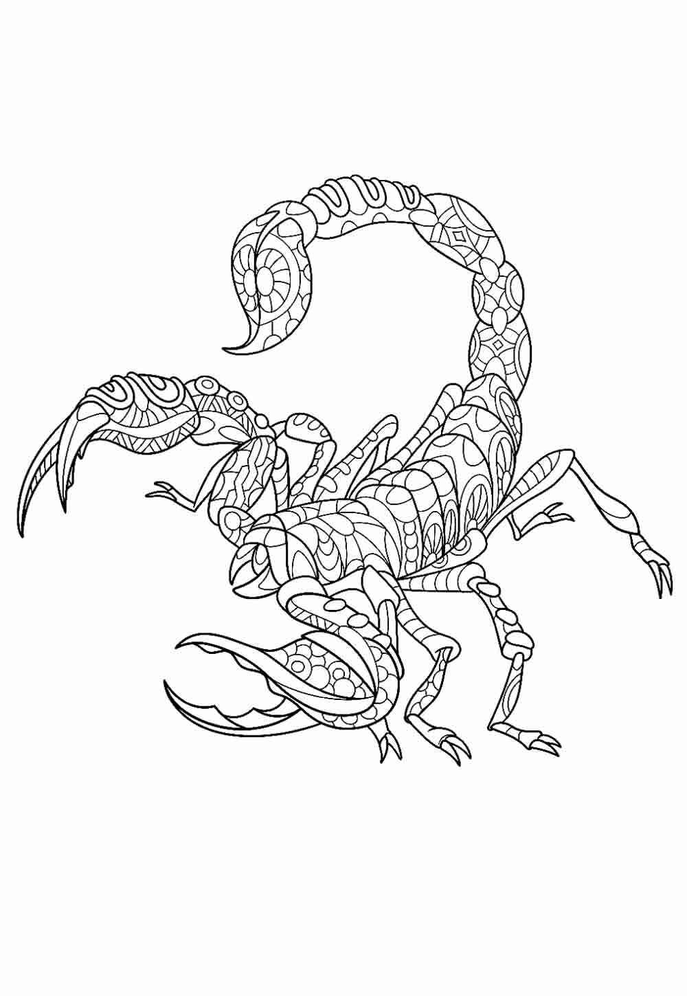 Desenho de Escorpiao Desenho Colorir Imprimir 27