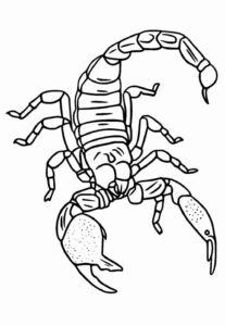 Desenho de Escorpiao Desenho Colorir Imprimir 28