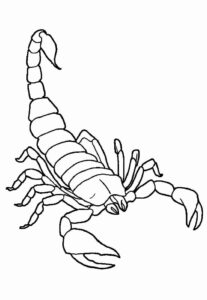 Desenho de Escorpiao Desenho Colorir Imprimir 29